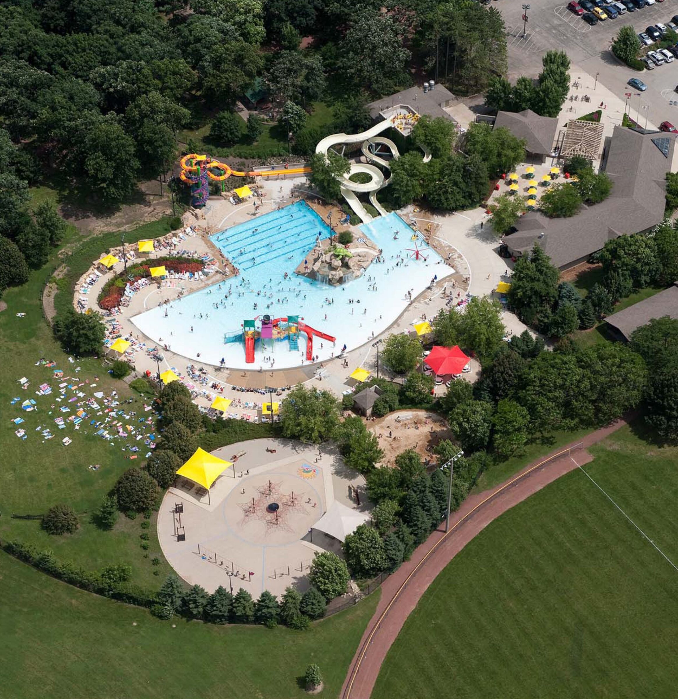 Turtle Splash After