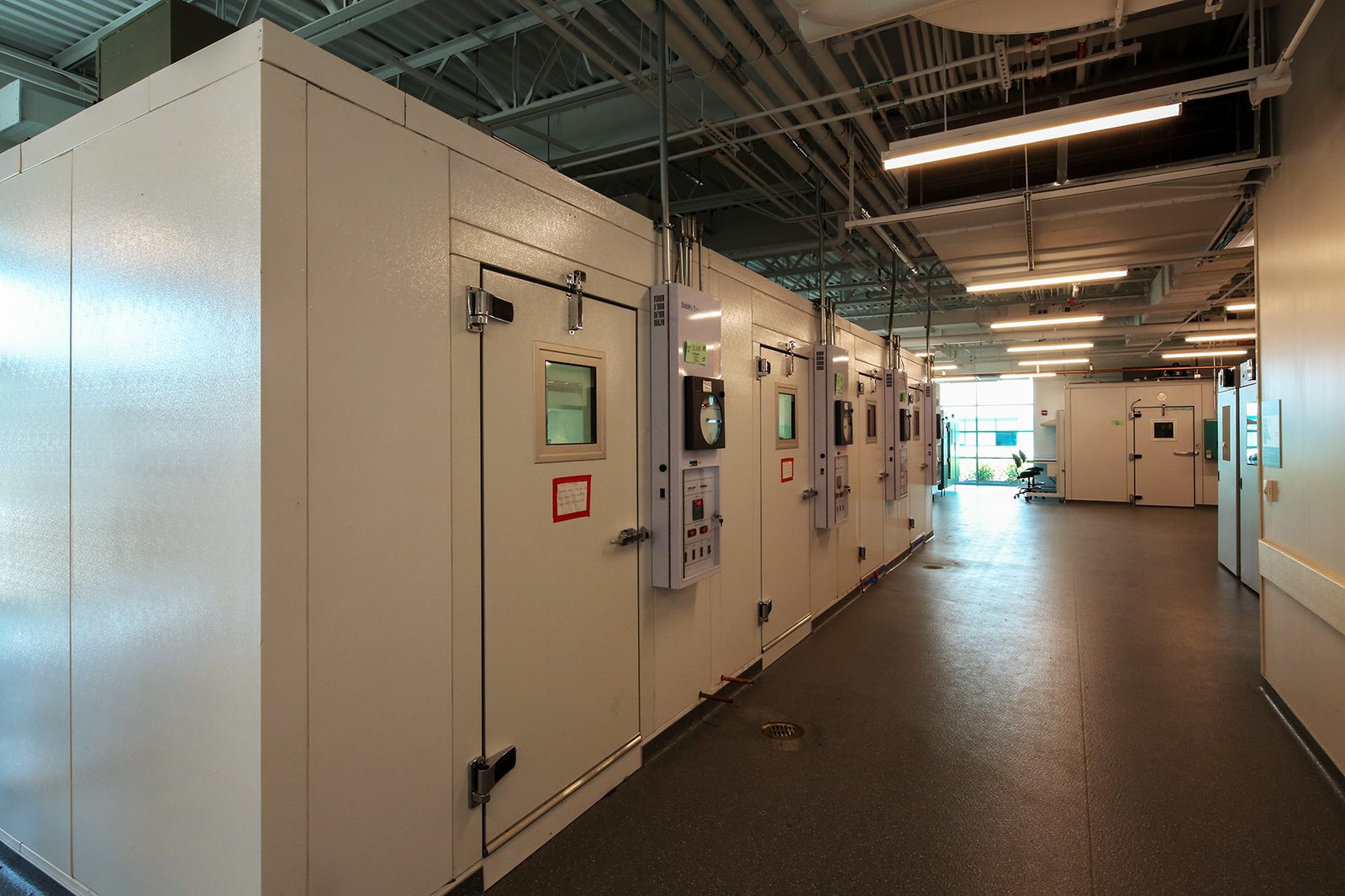 CoolersHall U10A9103
