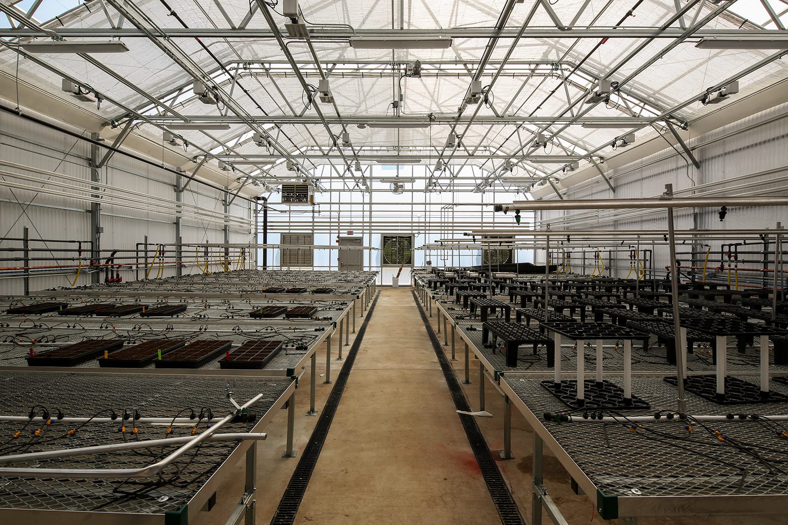 GreenhouseBigStraight U10A9087