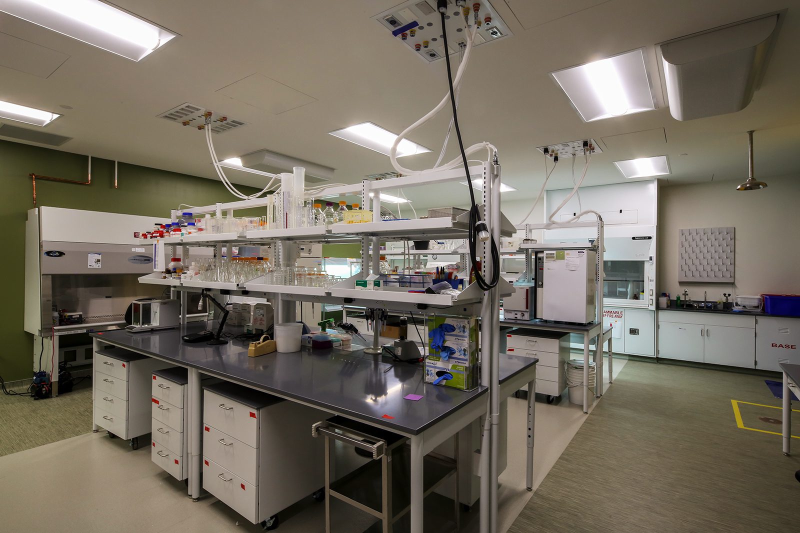 LabPlants U10A9125