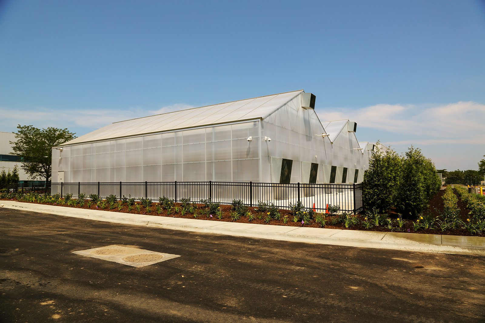 extGreenhouseAngle U10A9155