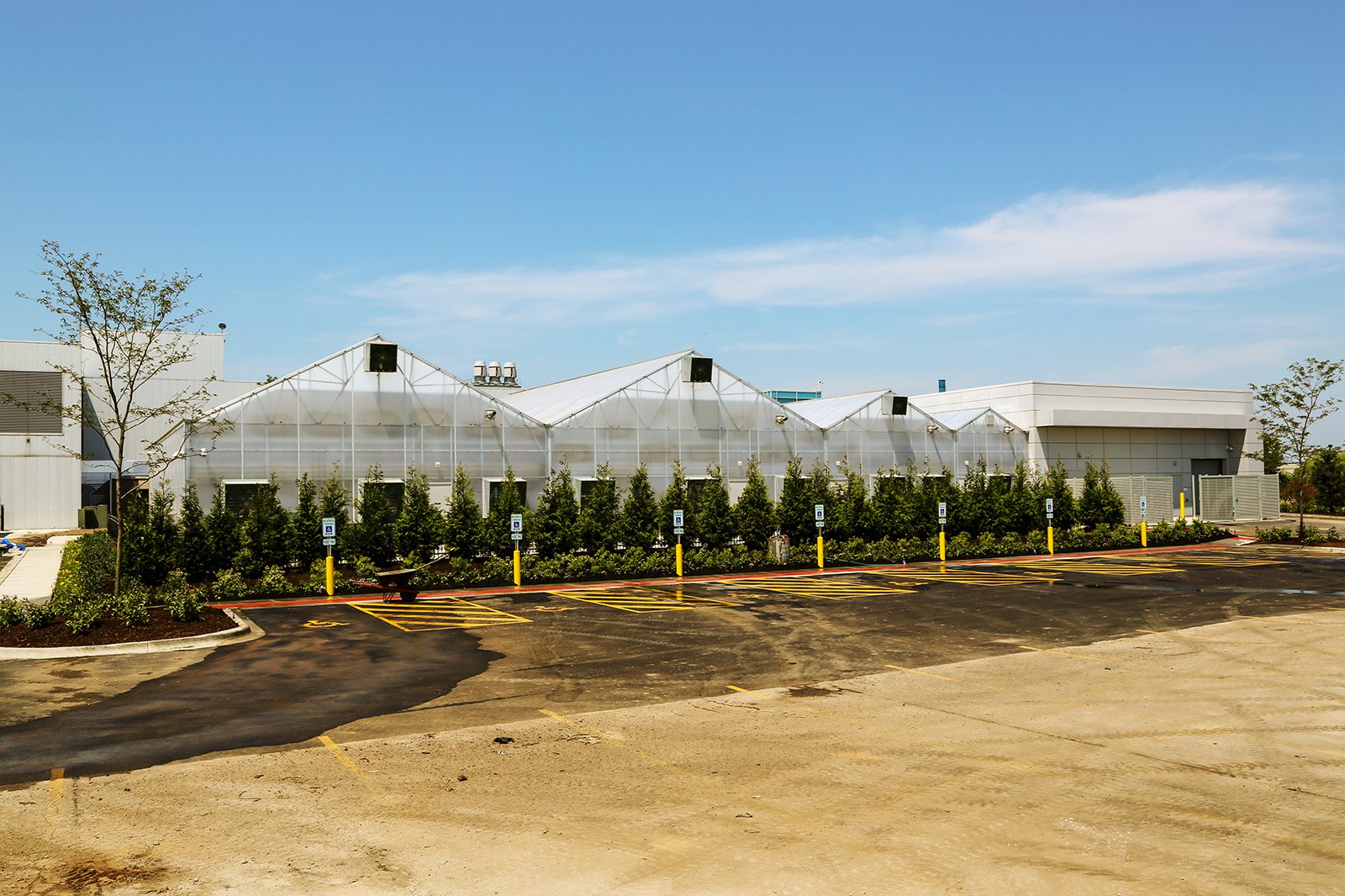 extGreenhouseWide U10A9160