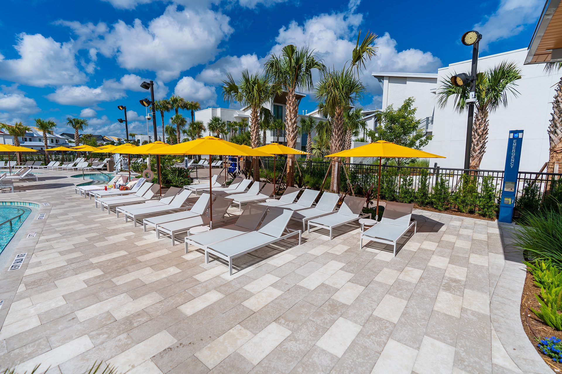 Leopardo Evermore Pool Complete Photo Selects 05192026 57
